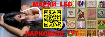 стаф Бугуруслан