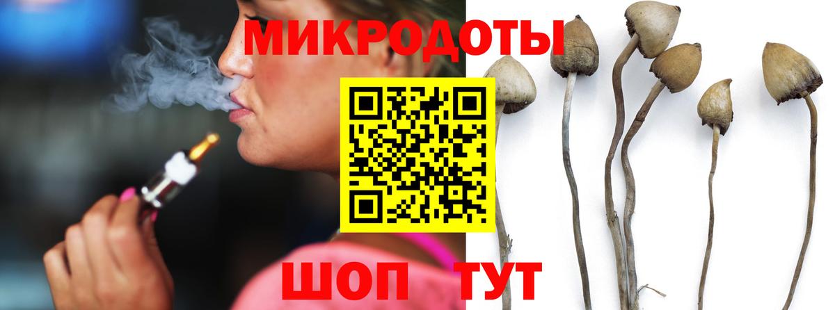 Псилоцибиновые грибы прущие грибы Саянск